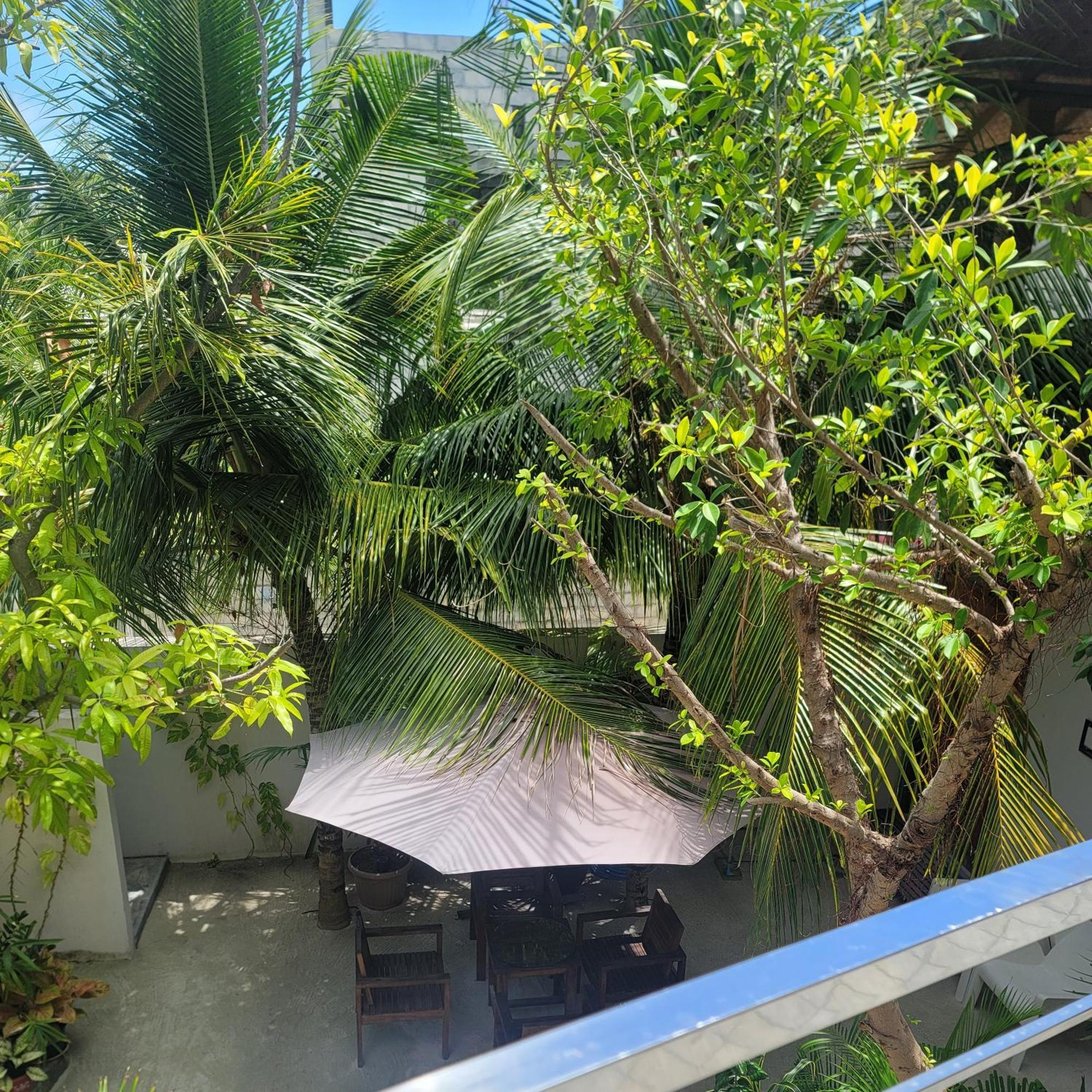 Palm Residence Rasdhoo Quarto foto
